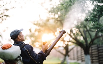 A pest control specialist spraying chemicals during Mosquito Control Near Me